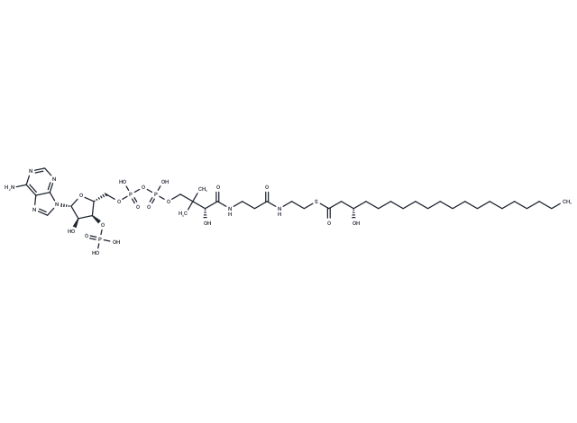 (3S)-3-Hydroxyicosanoyl-CoA