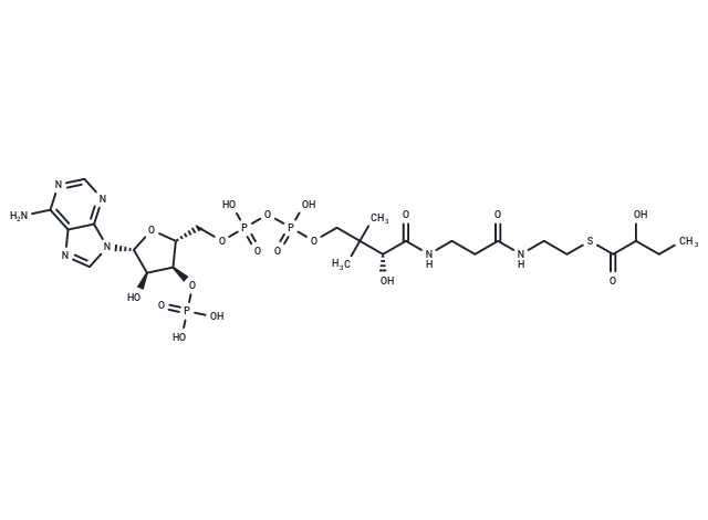 2-Hydroxybutanoyl-CoA