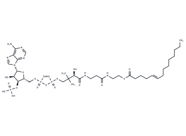 (5E)-Tetradecenoyl-CoA
