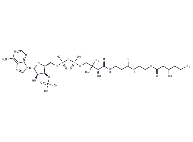 3-Hydroxyhexanoyl-CoA