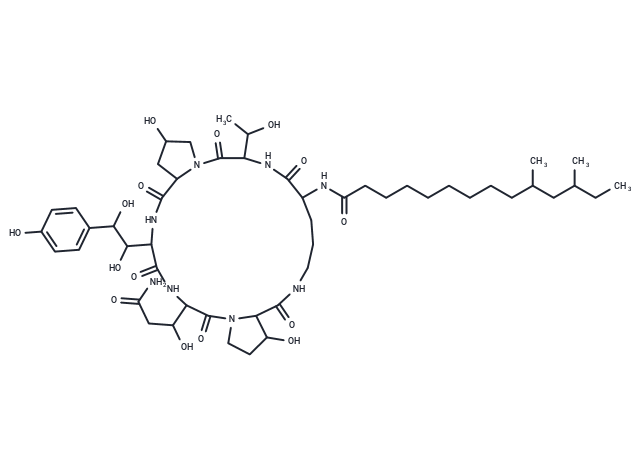 Pneumocandin B2