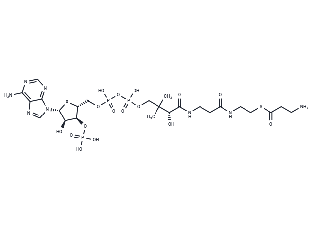 3-Aminopropionyl-CoA