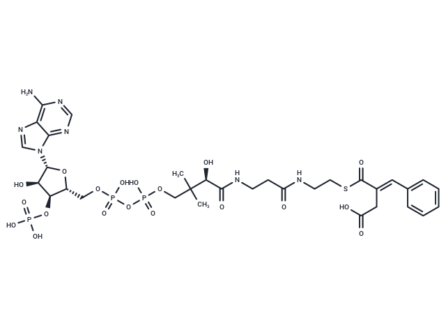 (E)-2-Benzylidenesuccinyl-CoA
