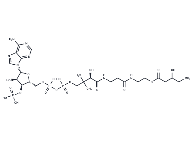 3-Hydroxyvaleryl-CoA