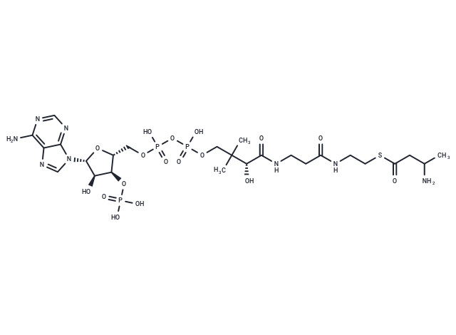 3-Aminobutanoyl-CoA