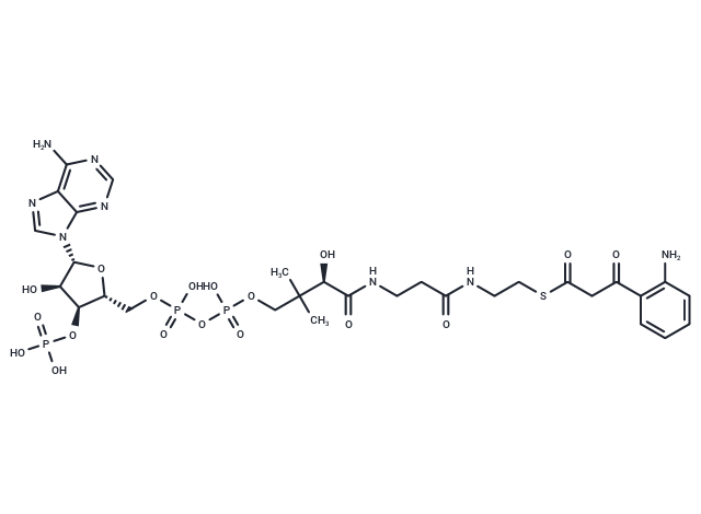 2-Aminobenzoylacetyl-CoA