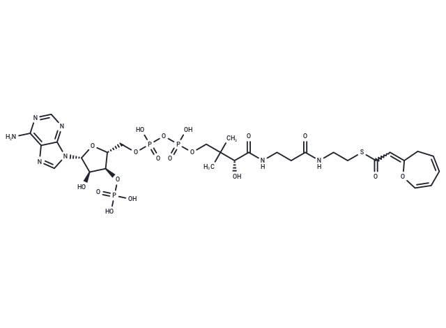 2-Oxepin-2(3H)-ylideneacetyl-CoA