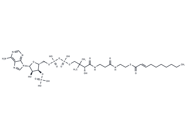 trans-2-Decenoylcoenzyme A