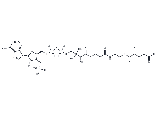 2-Oxopentanedicarboxyl-CoA