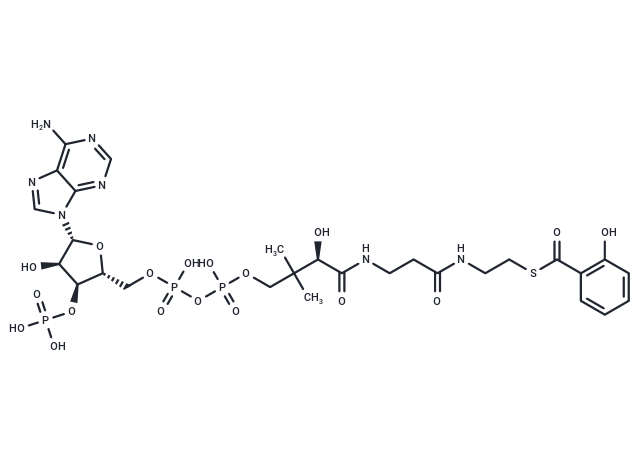2-Hydroxybenzoyl-CoA