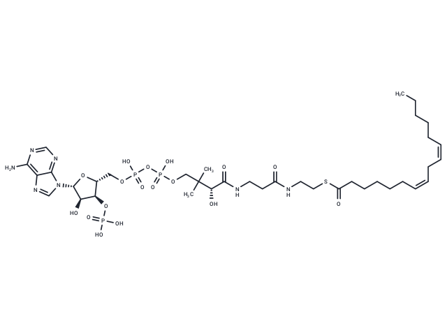 (7Z,10Z)-Hexadecadienoyl-CoA