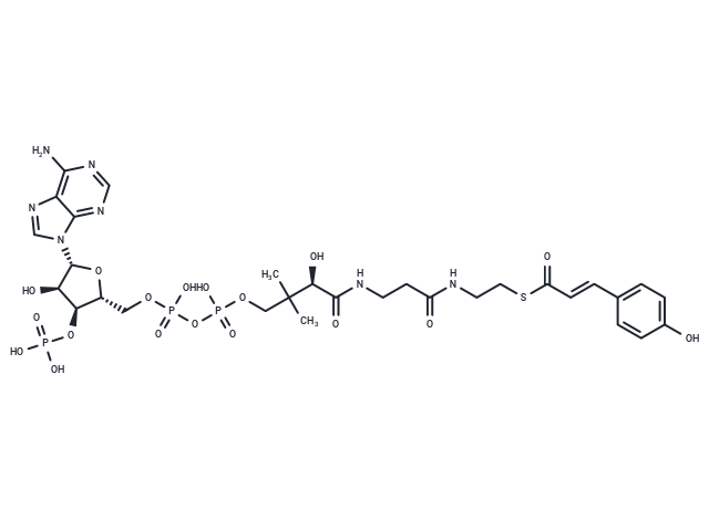 (E)-p-Coumaroyl-CoA