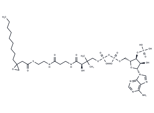 3-(Epoxymethylene)dodecanoyl-CoA