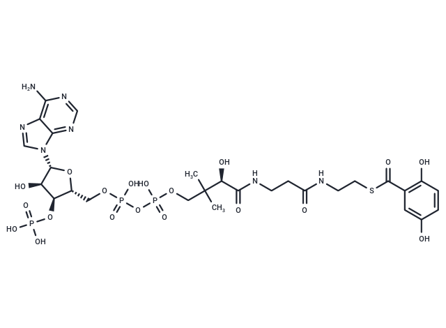 2,5-Dihydroxybenzoyl-CoA