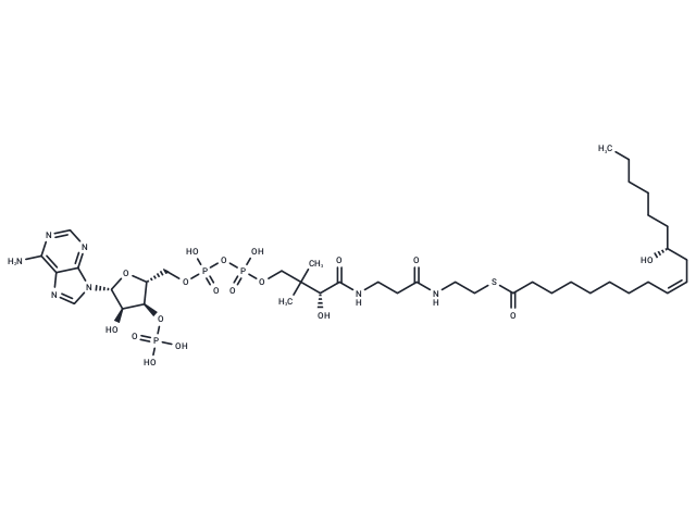(9Z)-12-Hydroxyoctadec-9-enoyl-CoA