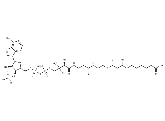 3-Hydroxydecanedioyl-CoA
