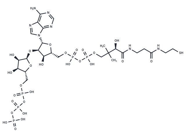 2'-(5-Triphosphoribosyl)-3'-dephospho-CoA