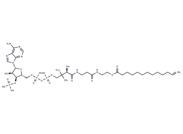 12,13-Didehydroacyl-CoA