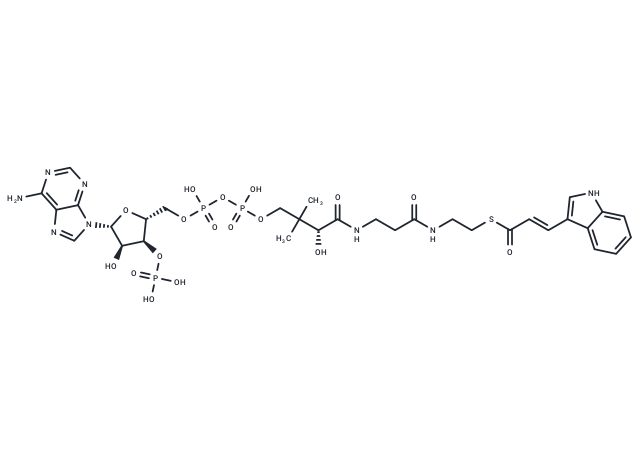 3-Indoleacryloyl-CoA
