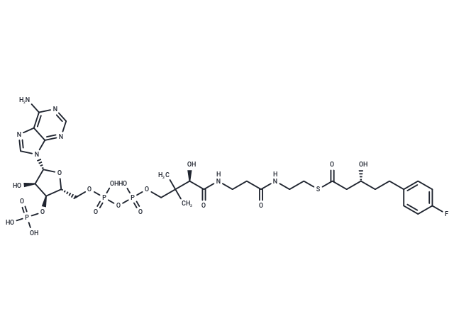 (R)-3-Hydroxy-5-(4-fluorophenyl)valeryl-CoA