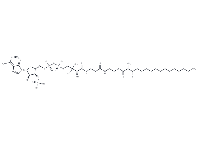 2-Methyl-3-oxopalmitoyl-CoA