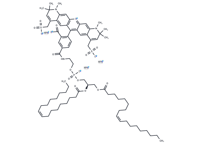 18:1 PE TopFluor AF 594 triammonium