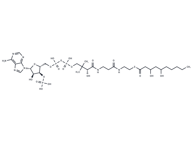 3,5-Dihydroxydecanoyl-CoA