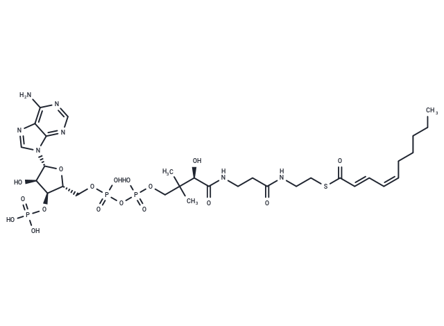 2-trans-4-cis-Decadienoyl-CoA