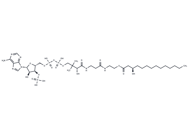 (R)-3-Hydroxytetradecanoyl-CoA
