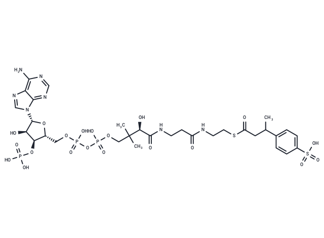 3-(4-Sulfophenyl)butyrate-CoA