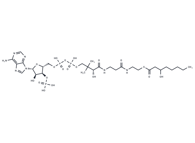 3-Hydroxyoctanoyl-CoA