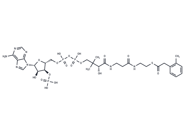 2-Tolylacetyl-CoA