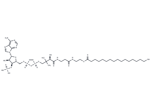 16-Hydroxypalmitoyl-CoA