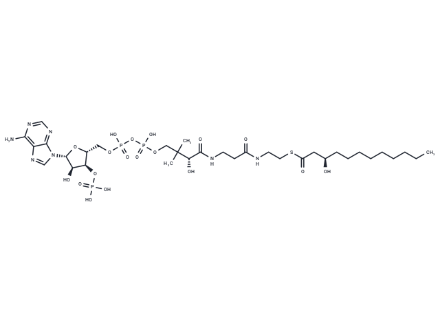(R)-3-Hydroxylauroyl-CoA