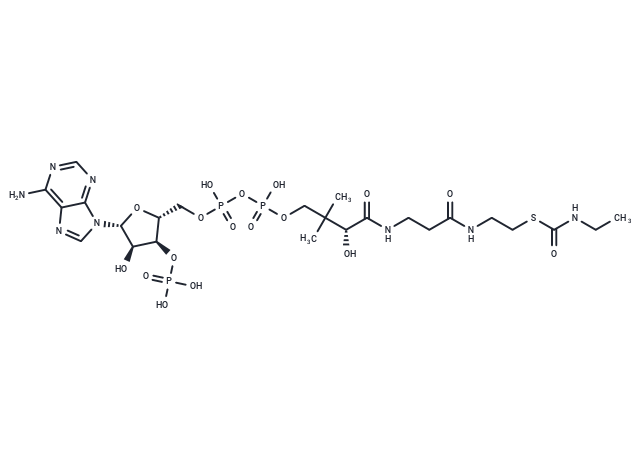 2-Aza-butyryl-CoA