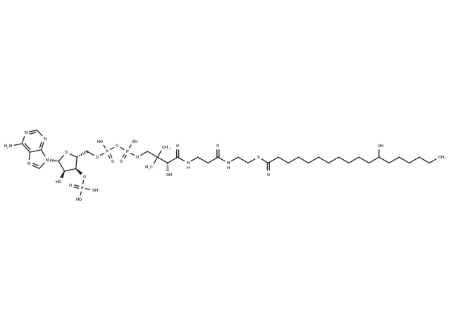 12-Hydroxyoctadecanoyl-CoA