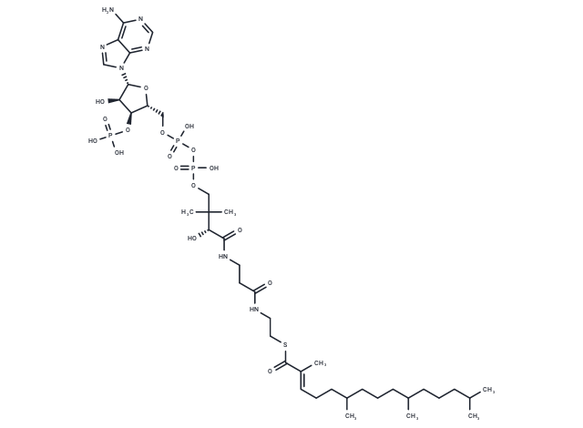 (E)-2,3-Didehydropristanoyl-CoA