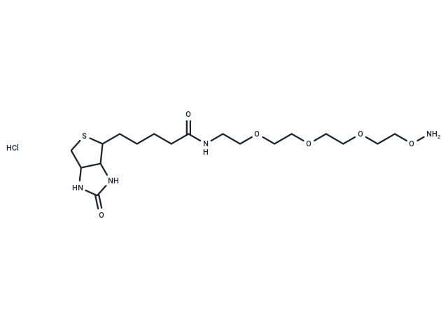 (Rac)-Biotin-PEG3-oxyamine hydrochloride