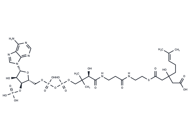 3-Hydroxy-3-(4-methylpent-3-en-1-yl)glutaryl-CoA