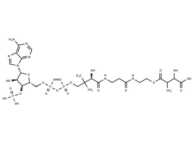 2-Hydroxy-3-methylbutanedioyl-CoA