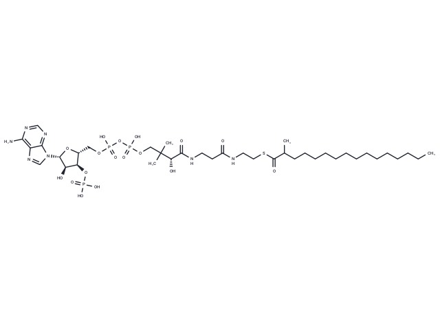 2-Methylhexadecanoyl-CoA