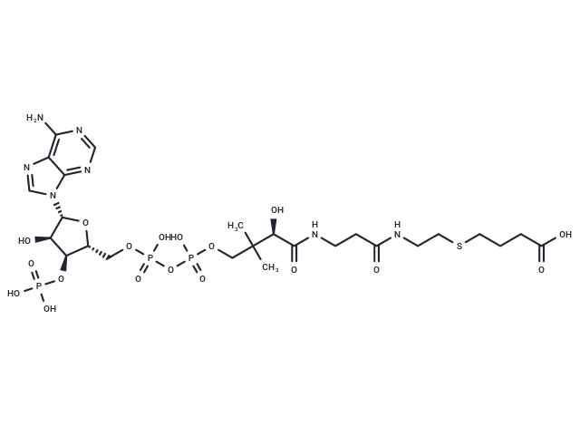 3-Carboxypropyl-CoA