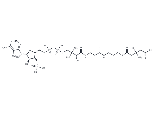 3-Hydroxy-3-methylglutaryldithio-CoA