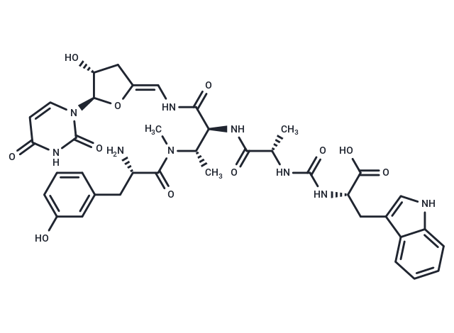 Pacidamycin 4