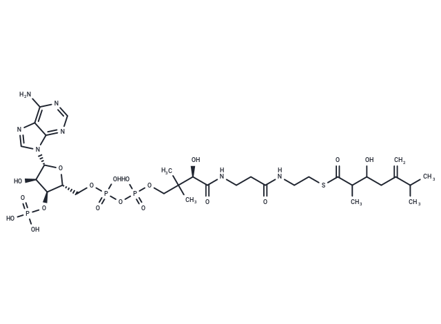 3-Hydroxy-2,6-dimethyl-5-methylene-heptanoyl-CoA