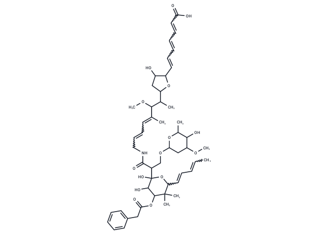 Phenelfamycin B