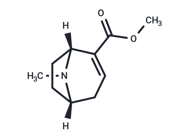 Anhydroecgonine methyl ester