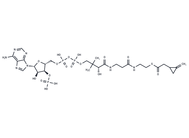 (Methylenecyclopropyl)acetyl-CoA