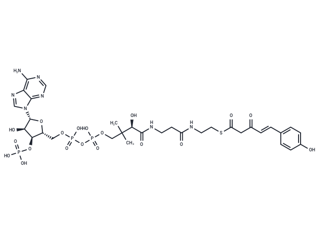 (4-Coumaroyl)acetyl-CoA