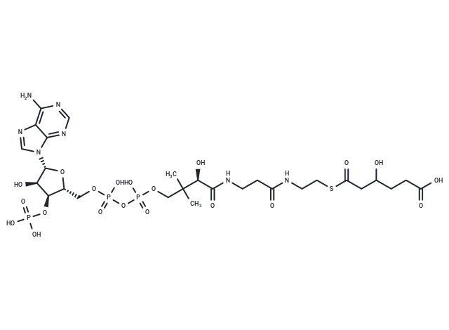 3-Hydroxyadipyl-CoA